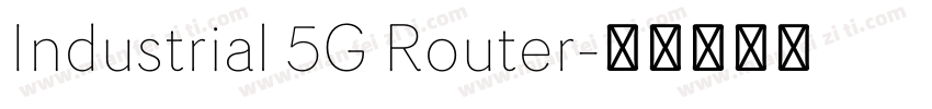 Industrial 5G Router字体转换